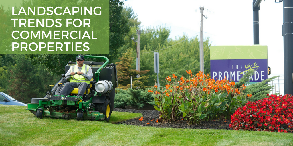 Landscaping Ideas Commercial Properties Schill Grounds Management